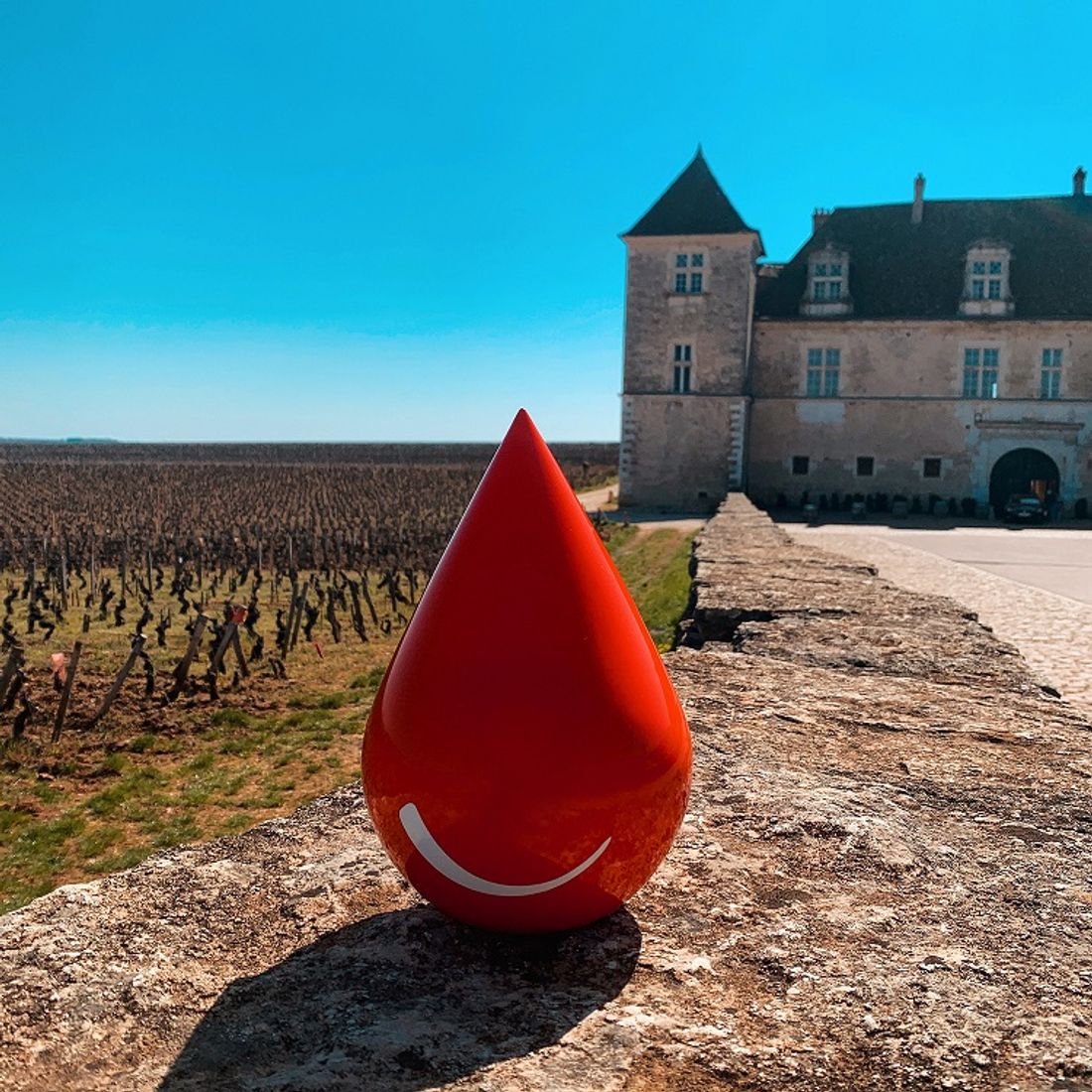 Un don du sang déguisé au château du Clos Vougeot